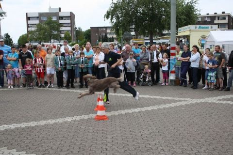 IMG_5207